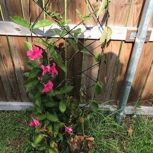 Meet your Posher, Aimee